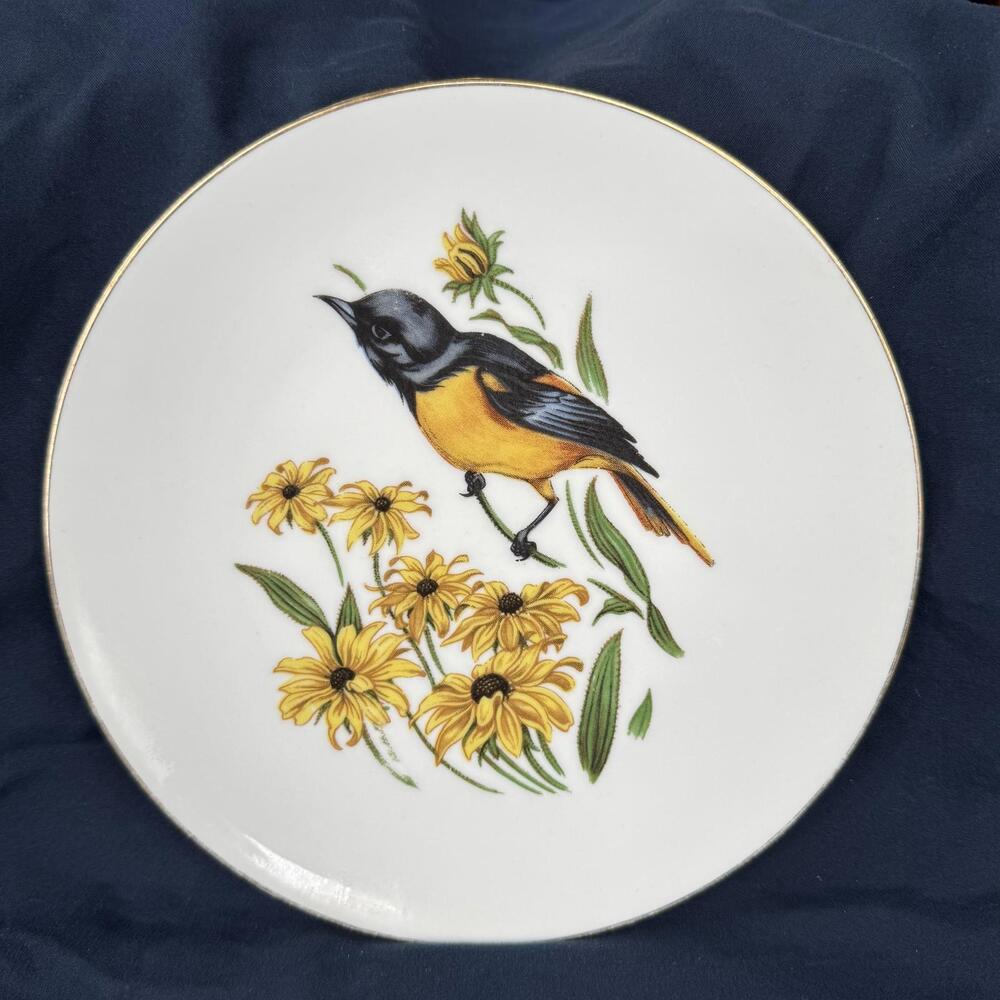 SCHUMANN‎ Arzberg Bavaria Oriole Bird Plates Gold Rimmed 8” Vintage  [COPY]